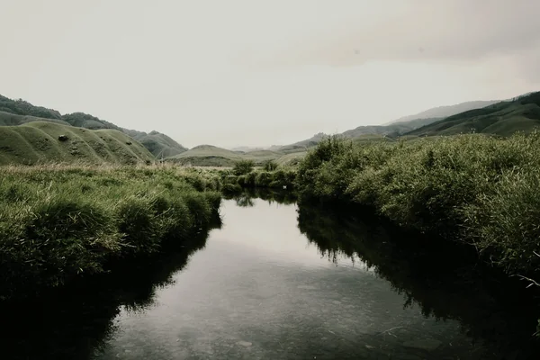 A clear stream between green banks in Dzukou Valley.