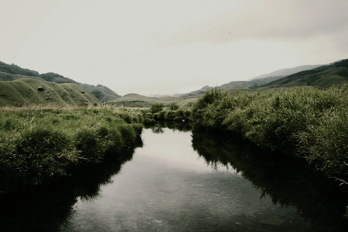 The green valley and stream at Dzukou.